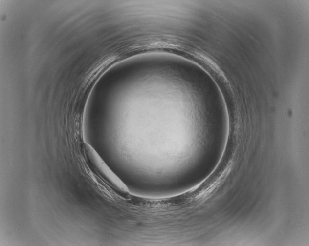 X0000061740793200512021441