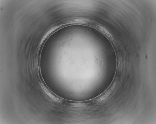 X0000061740800200512021441