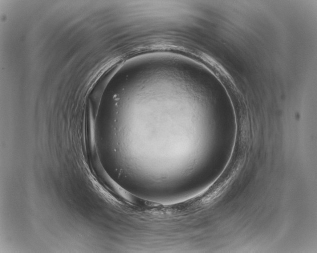 X0000061740801200512021441