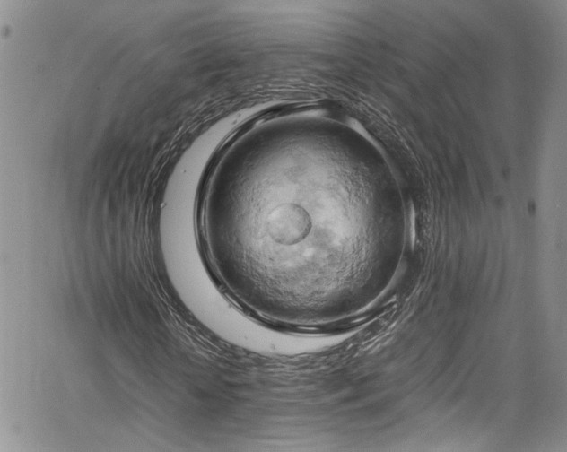 X0000061740818200512021440