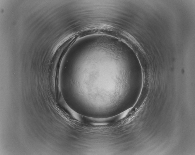X0000061740826200512021440