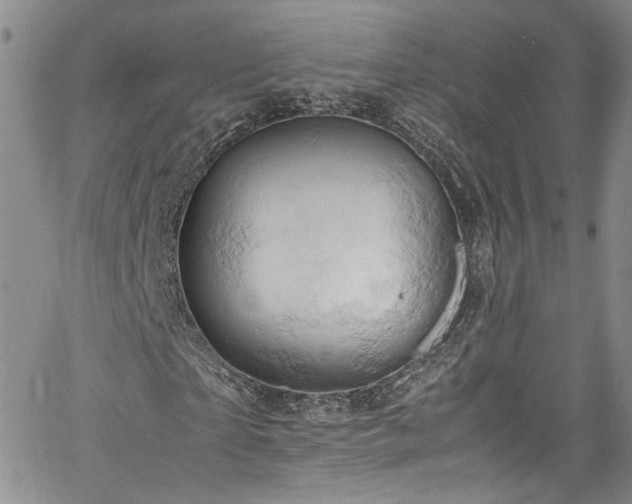 X0000061740865200512021440