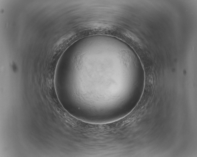 X0000061740869200512021439