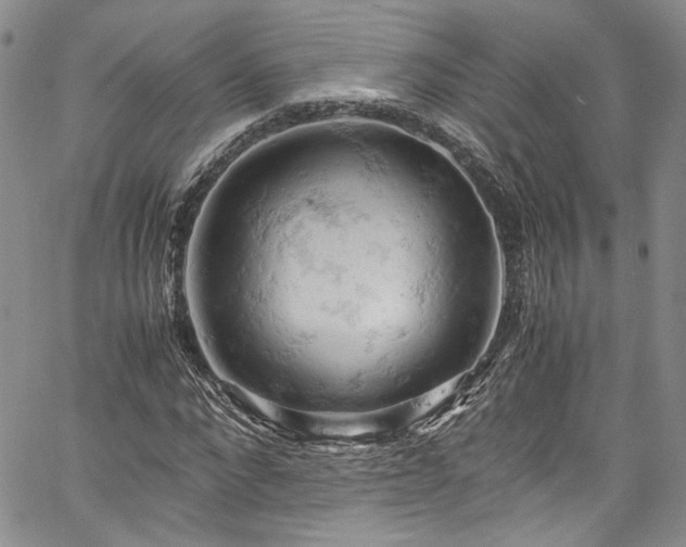 X0000061740872200512021439