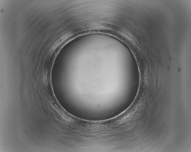 X0000061740873200512021439