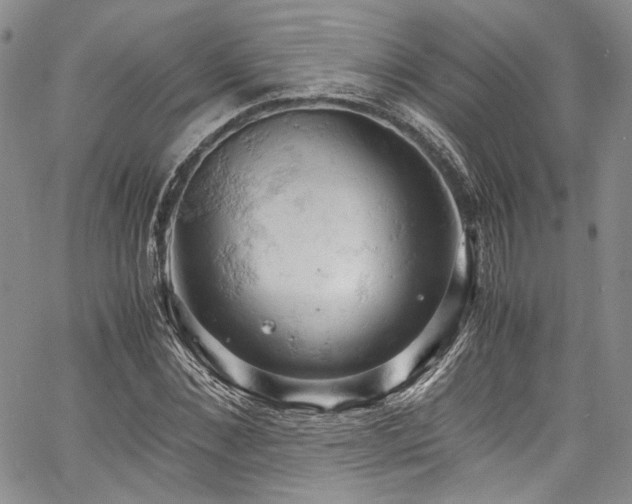 X0000061740876200512021439