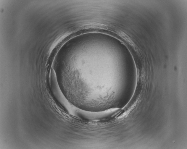 X0000061740877200512021439
