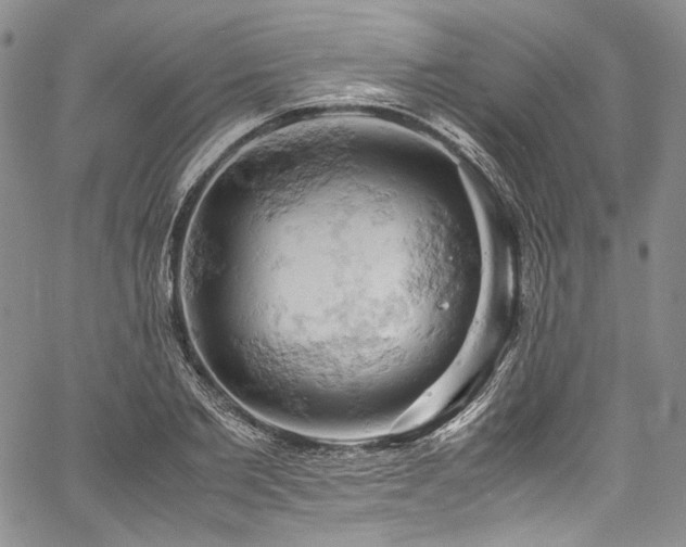 X0000061740885200512021439