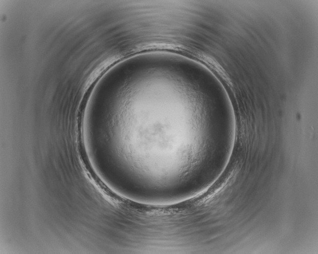 X0000061740898200512021439
