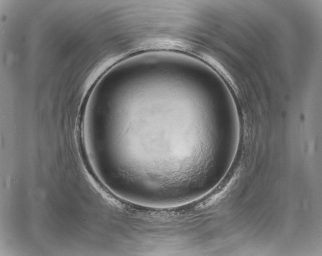 X0000061740901200512021439