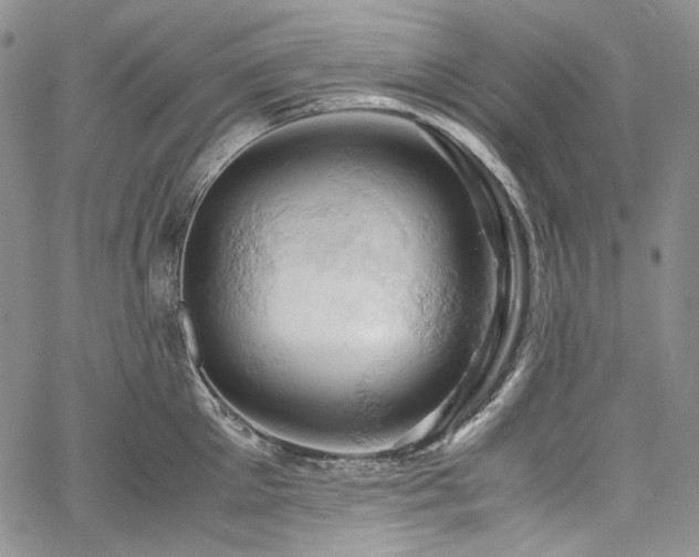 X0000061740905200512021439