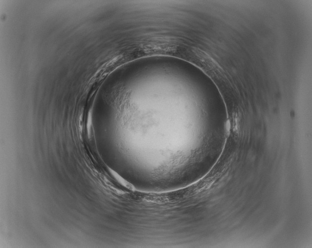 X0000061740915200512021438