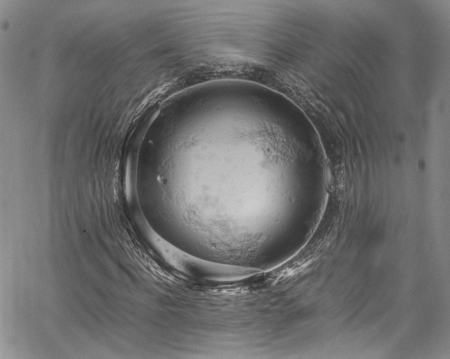 X0000061740916200512021438
