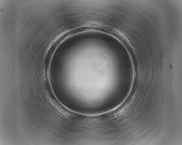 X0000061740931200512021438