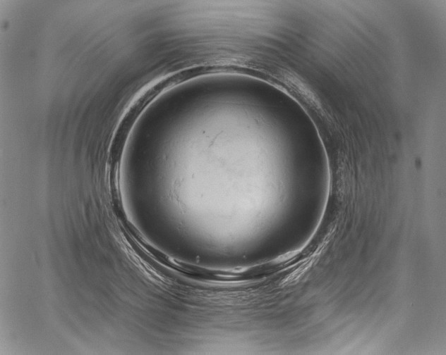 X0000061740932200512021438