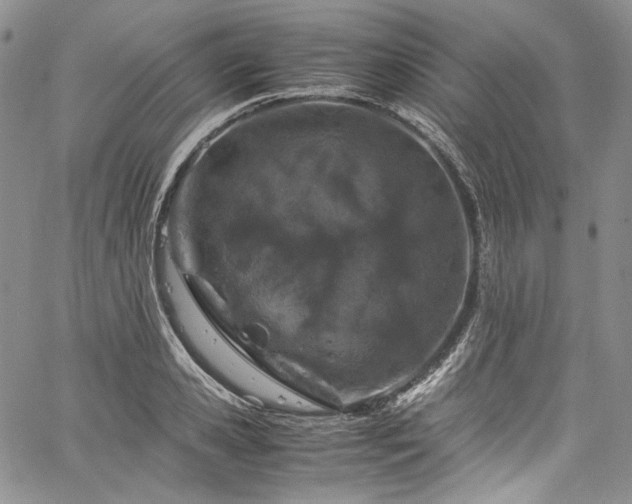 X0000061740941200512021438