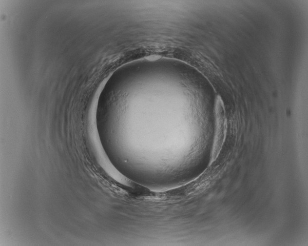 X0000061740961200512021438