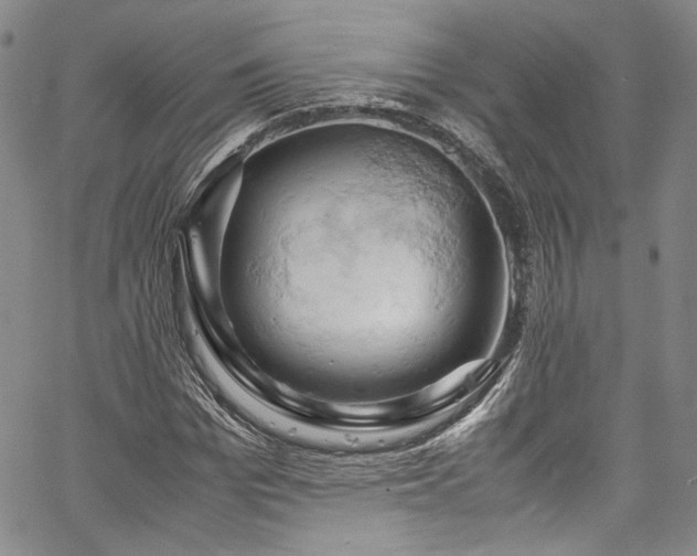 X0000061740969200512021438