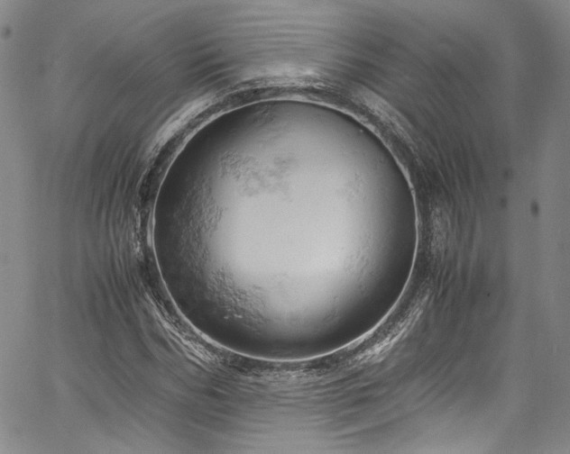 X0000061740970200512021438