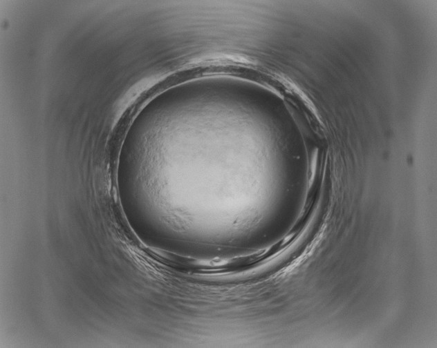 X0000061740973200512021438