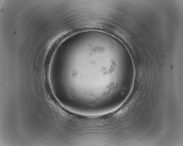 X0000061740979200512021438