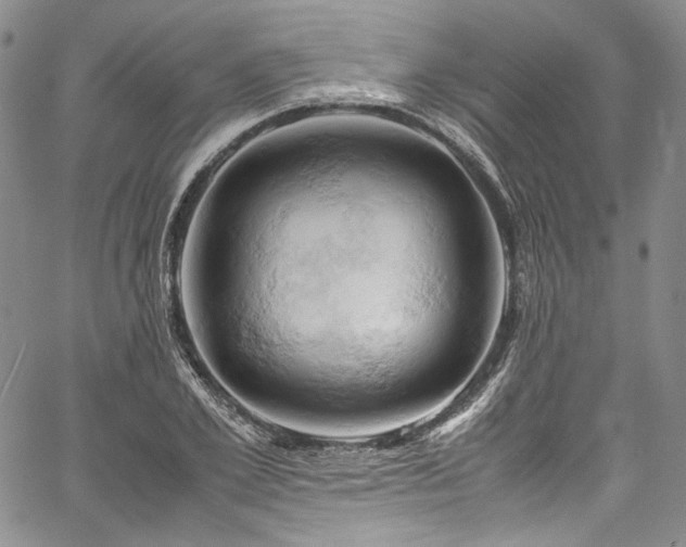 X0000061740981200512021438