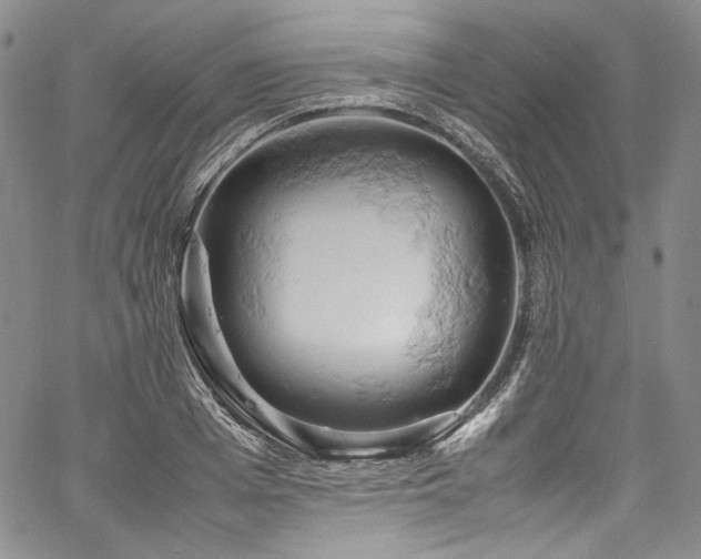 X0000061740985200512021438