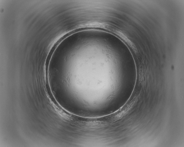 X0000061740988200512021438