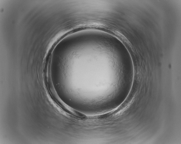 X0000061740989200512021438