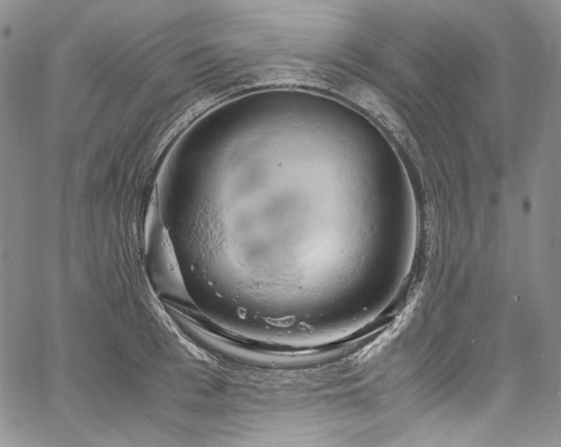 X0000061740993200512021437