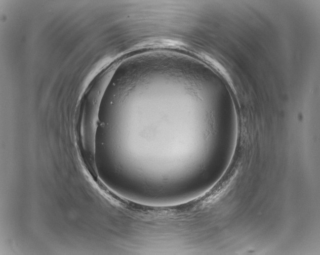 X0000061740997200512021437