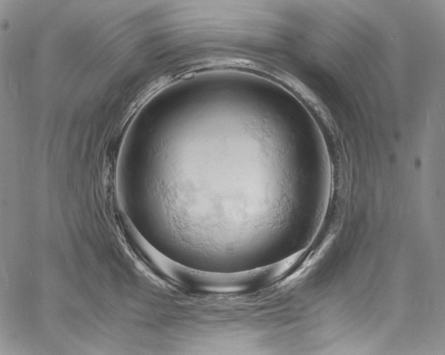X0000061741001200512021437