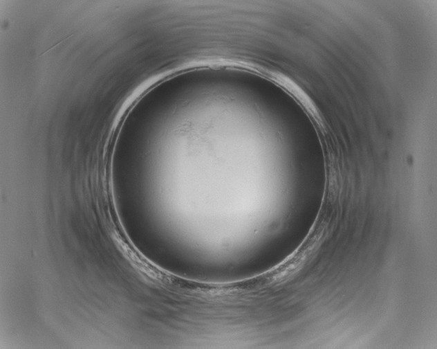 X0000061741004200512021437