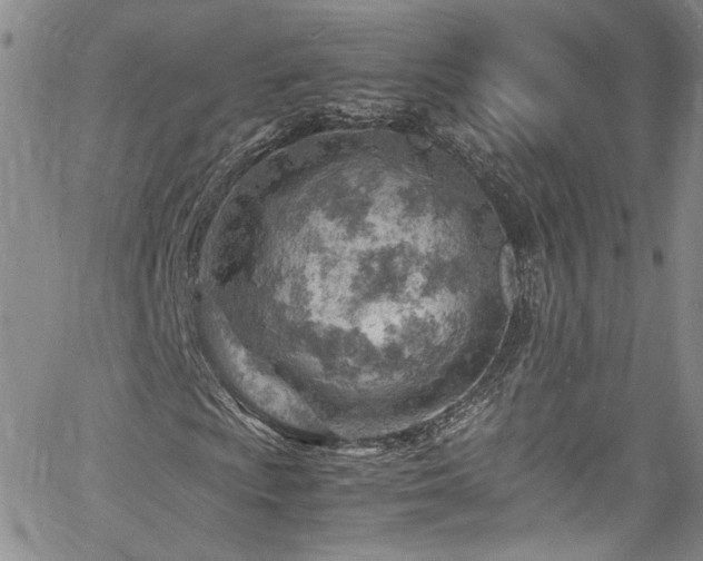 X0000061741009200512021436