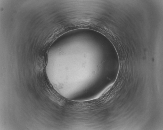 X0000061741012200512021436