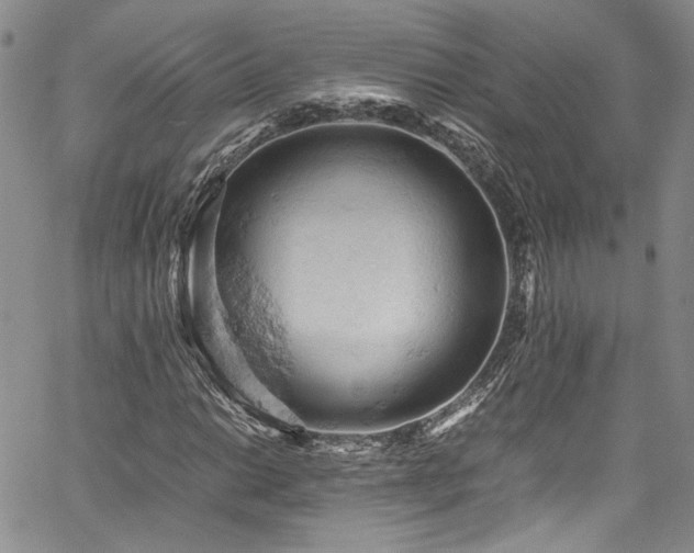 X0000061741014200512021437