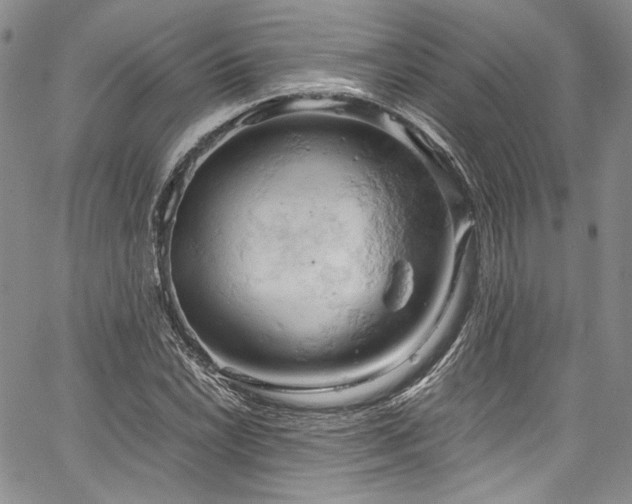X0000061741022200512021437