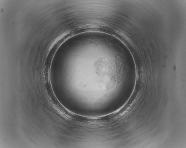 X0000061741026200512021437