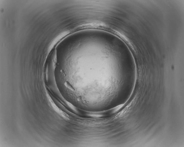 X0000061741042200512021437