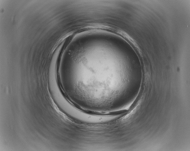 X0000061741049200512021437