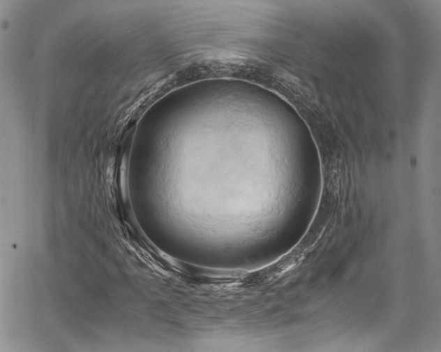 X0000061741061200512021436