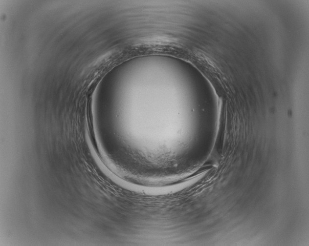 X0000061741062200512021436