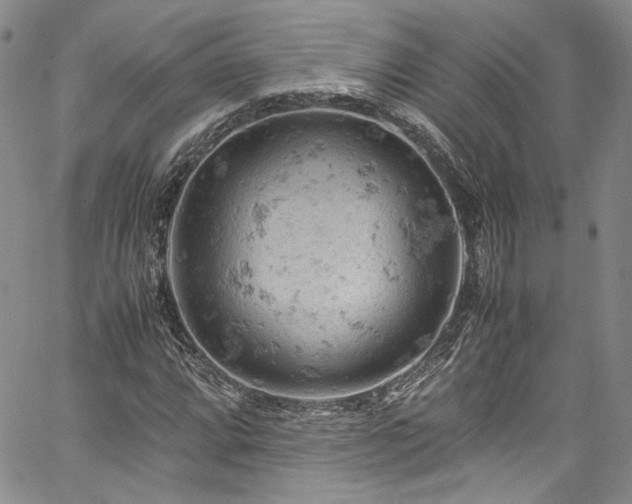 X0000061741064200512021436