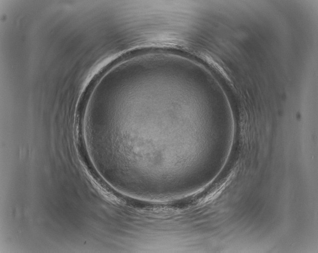X0000061741077200512021436