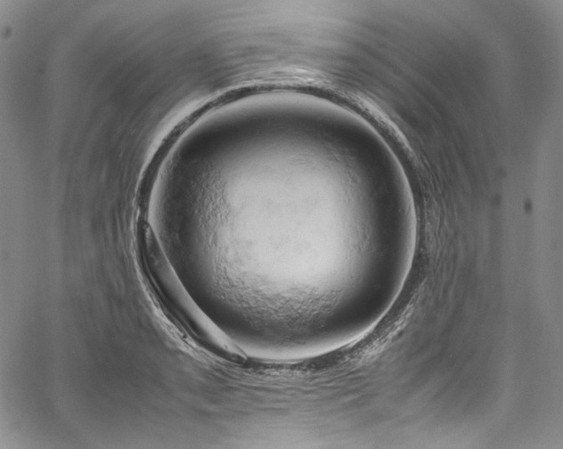 X0000061741085200512021436