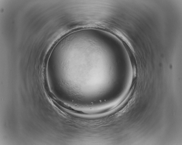 X0000061741093200512021436