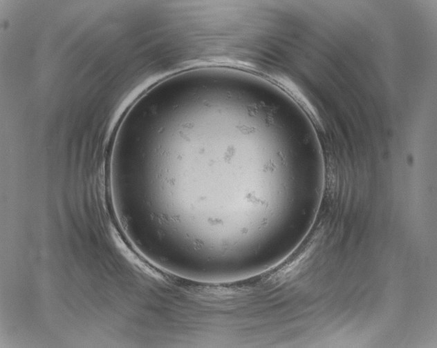 X0000061741100200512021436