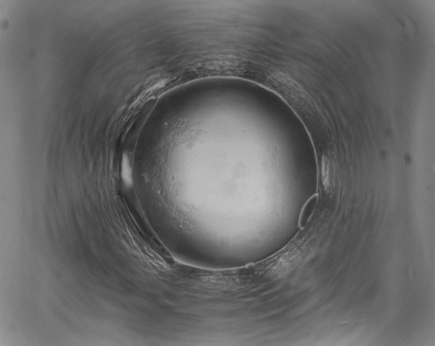 X0000061741107200512021435