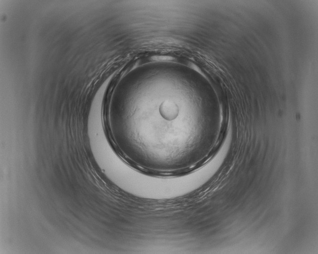 X0000061741108200512021435