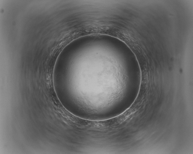 X0000061741109200512021435